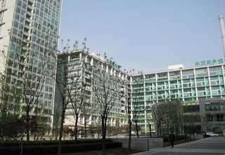 九江08B链轮销售