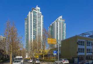 宝山区专业绿植花卉租赁报价